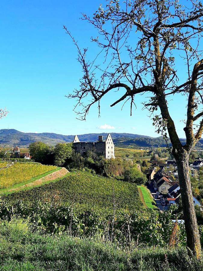 Am Blauwasser Mit Infrarotkabine Vogtsburg