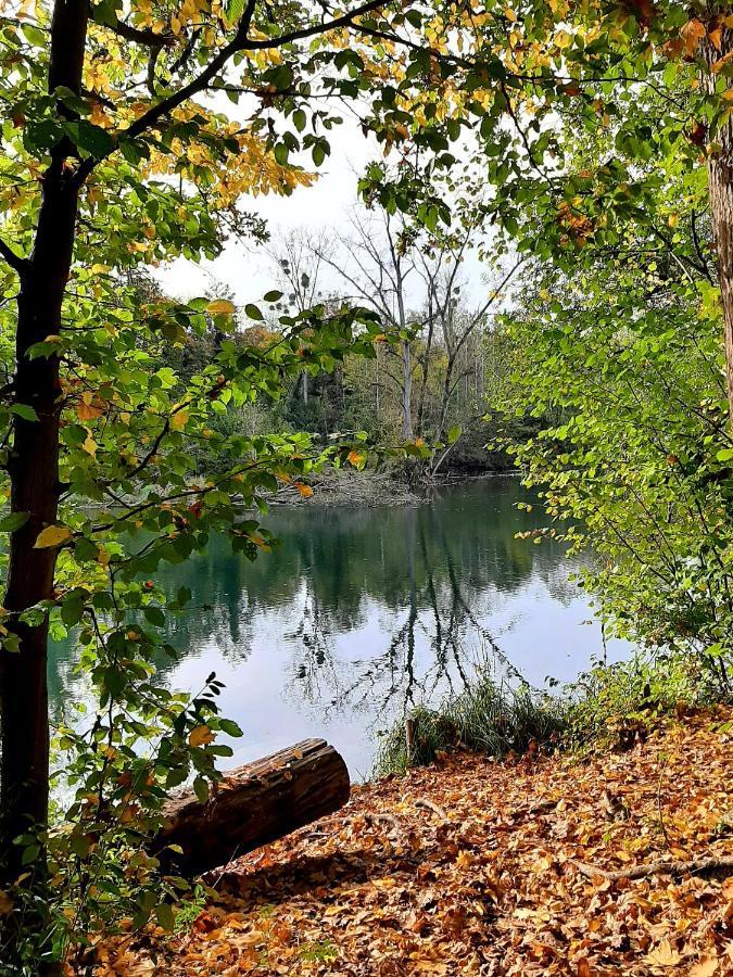 Am Blauwasser Mit Infrarotkabine Vogtsburg